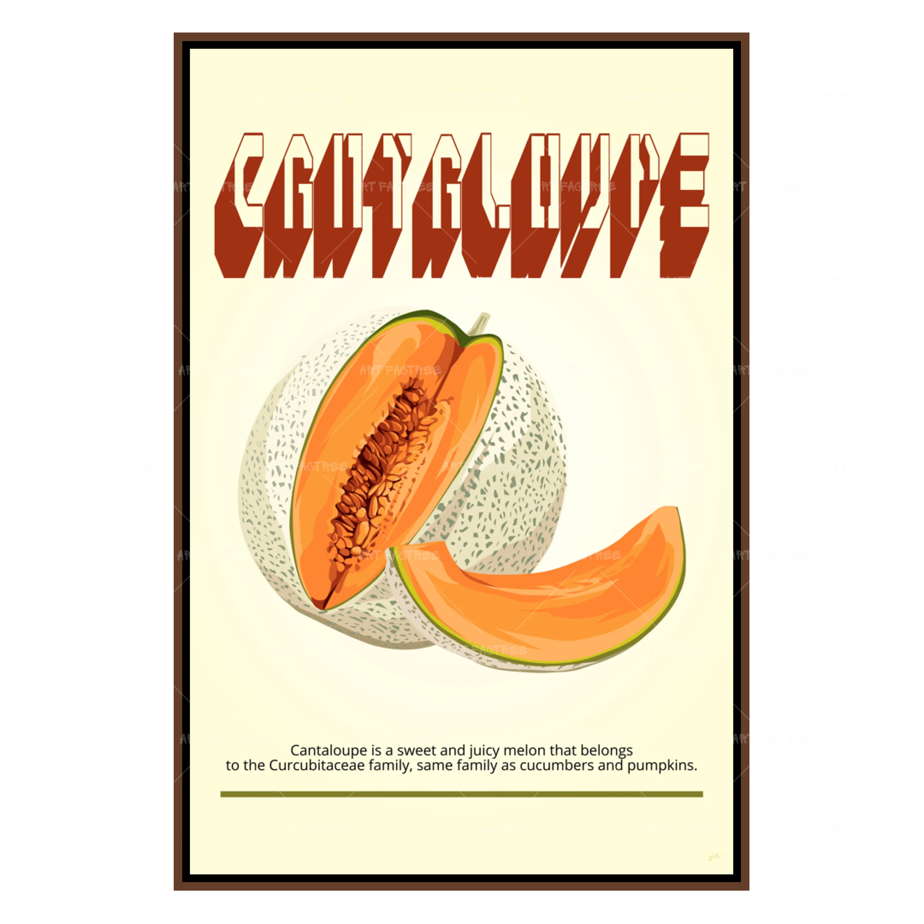 Cantaloupe