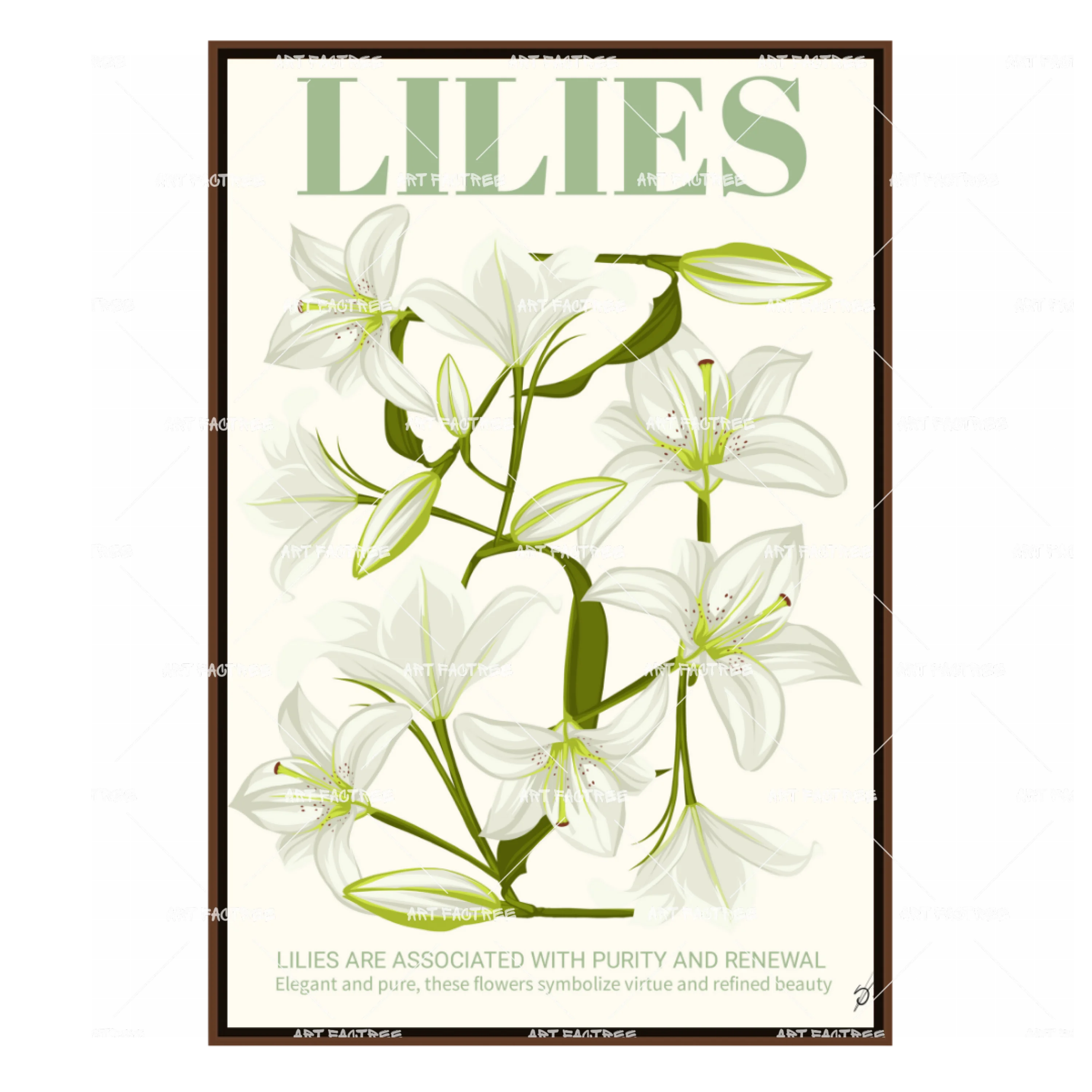Lilies