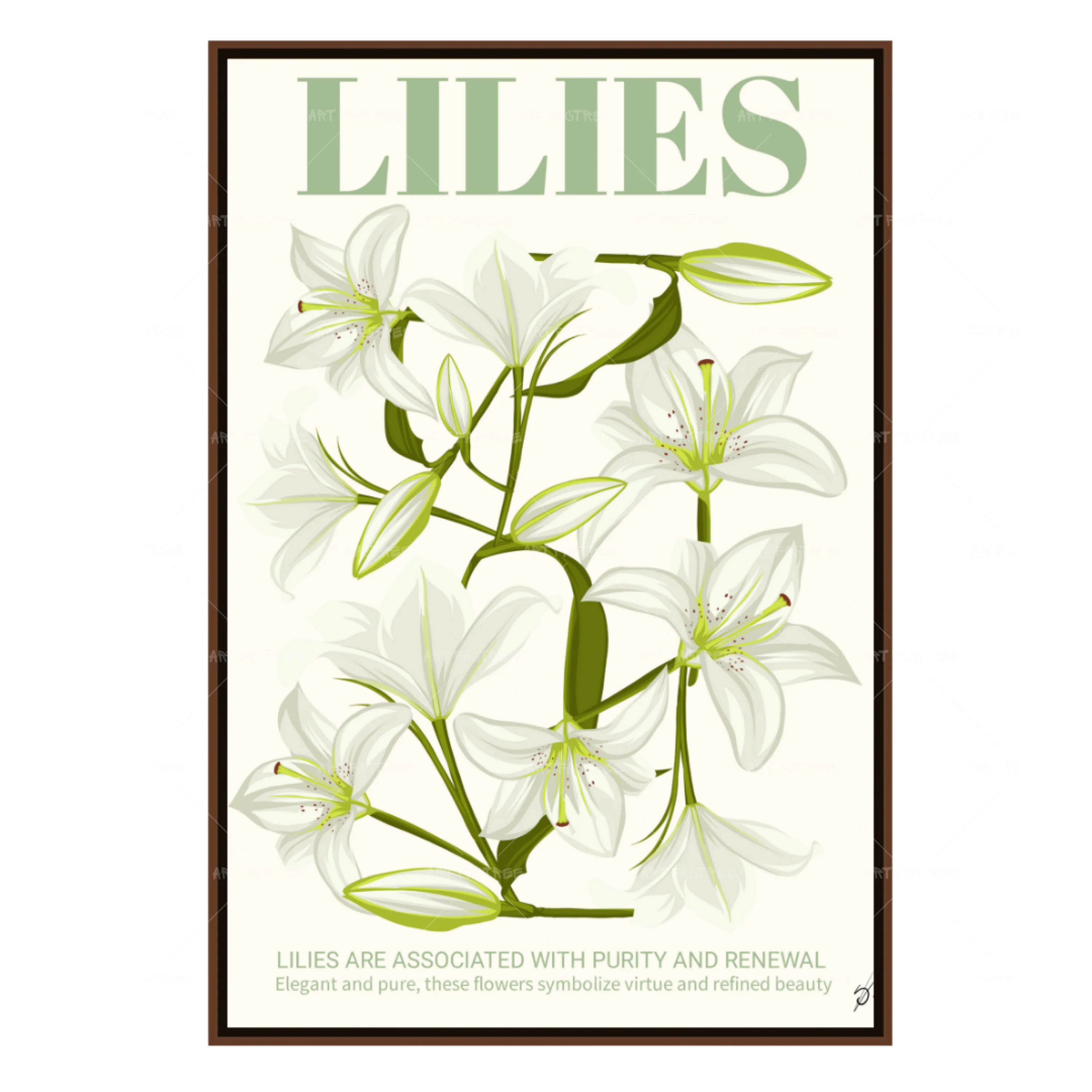 Lilies