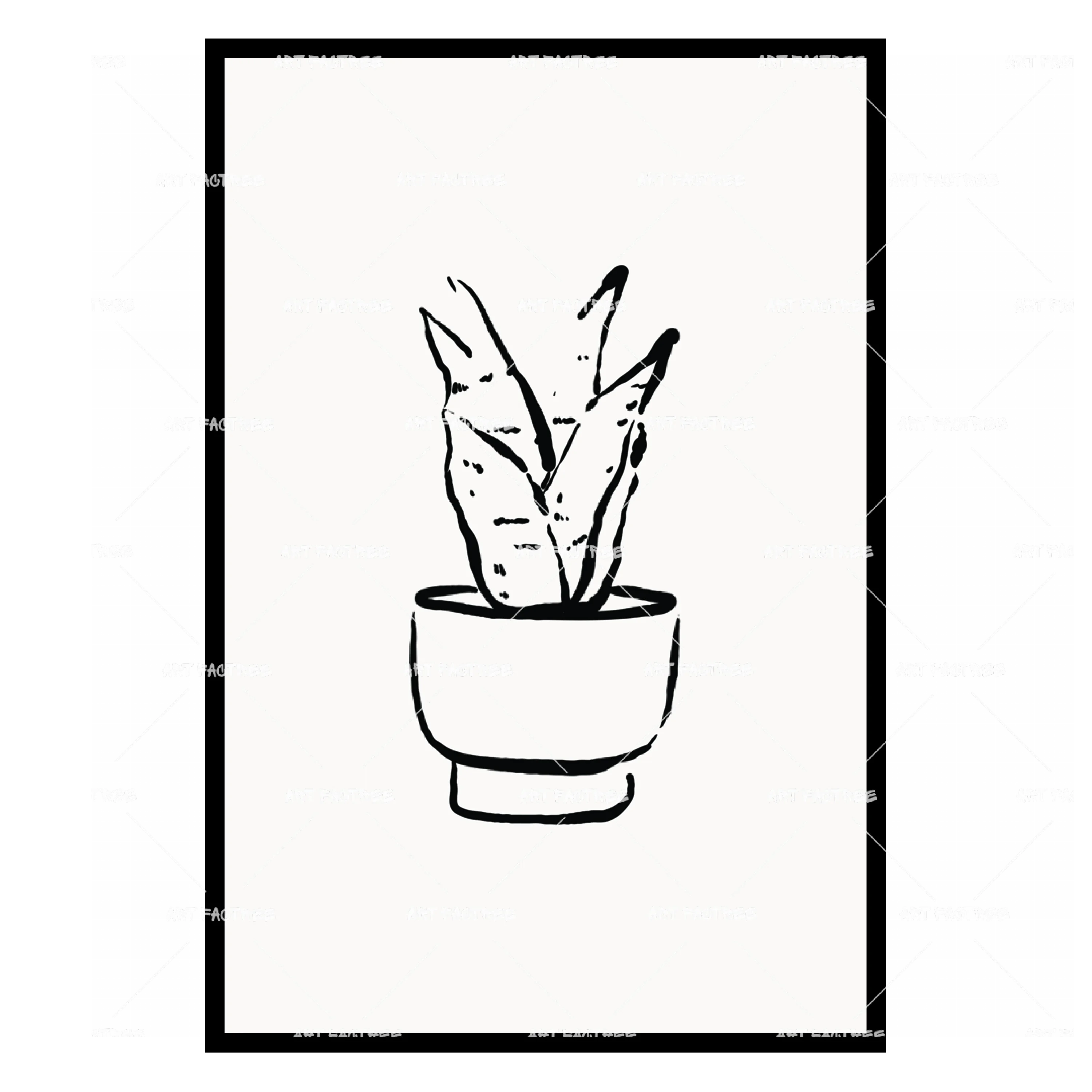 New Growth