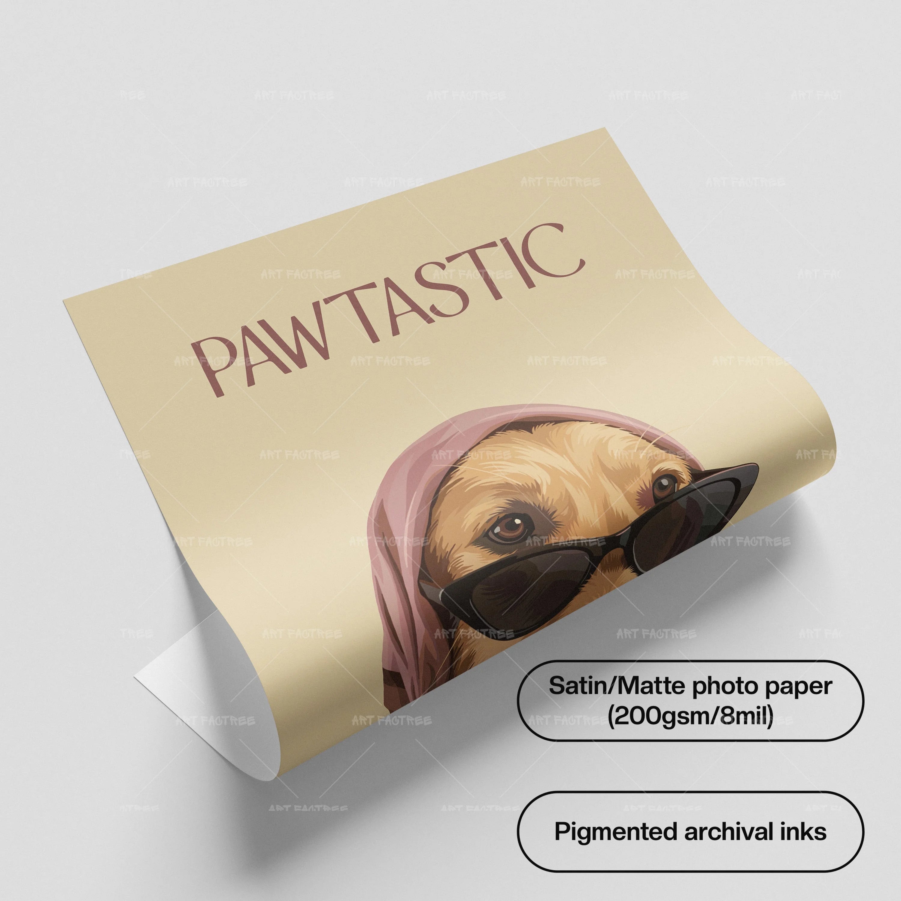 Pawtastic