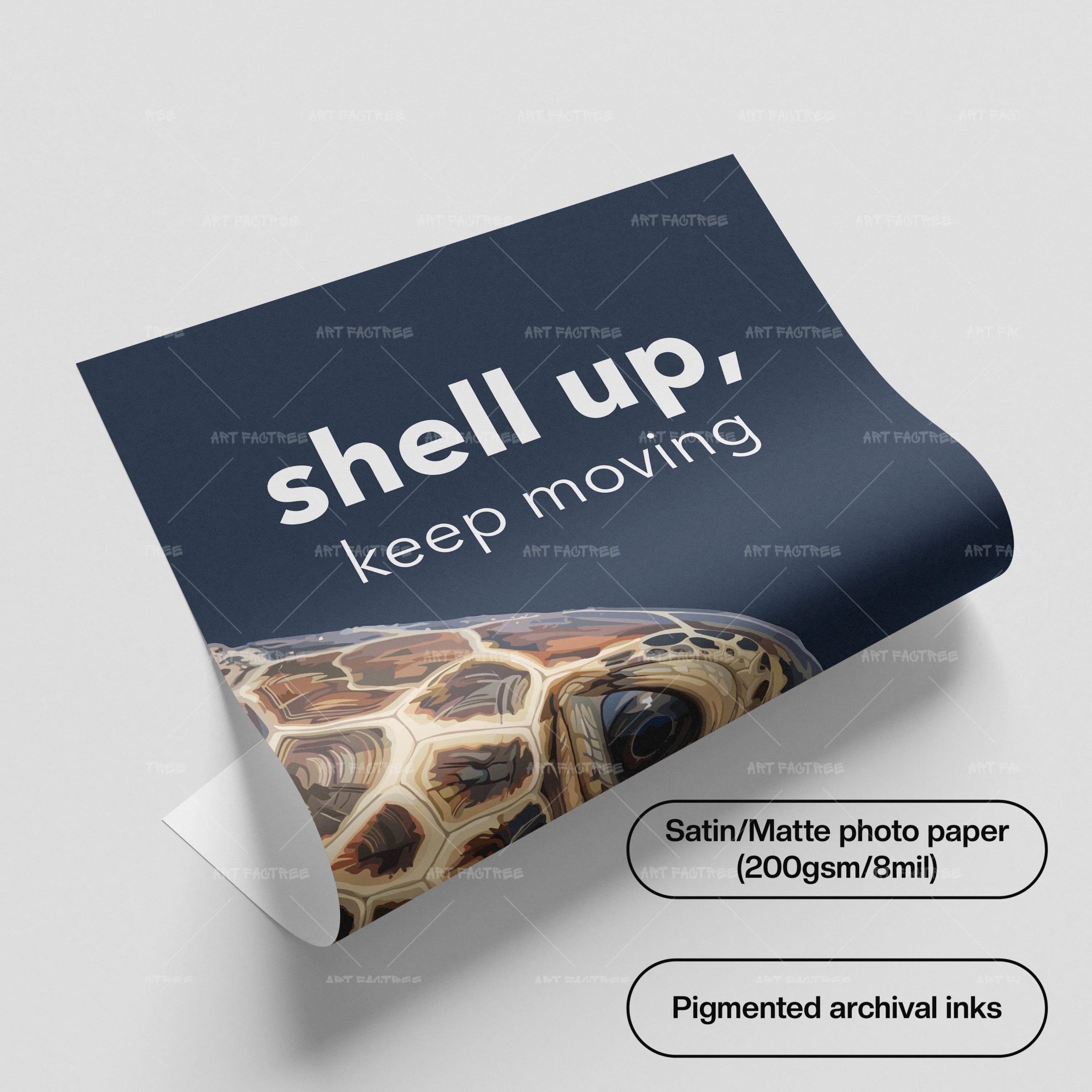 Shell Up