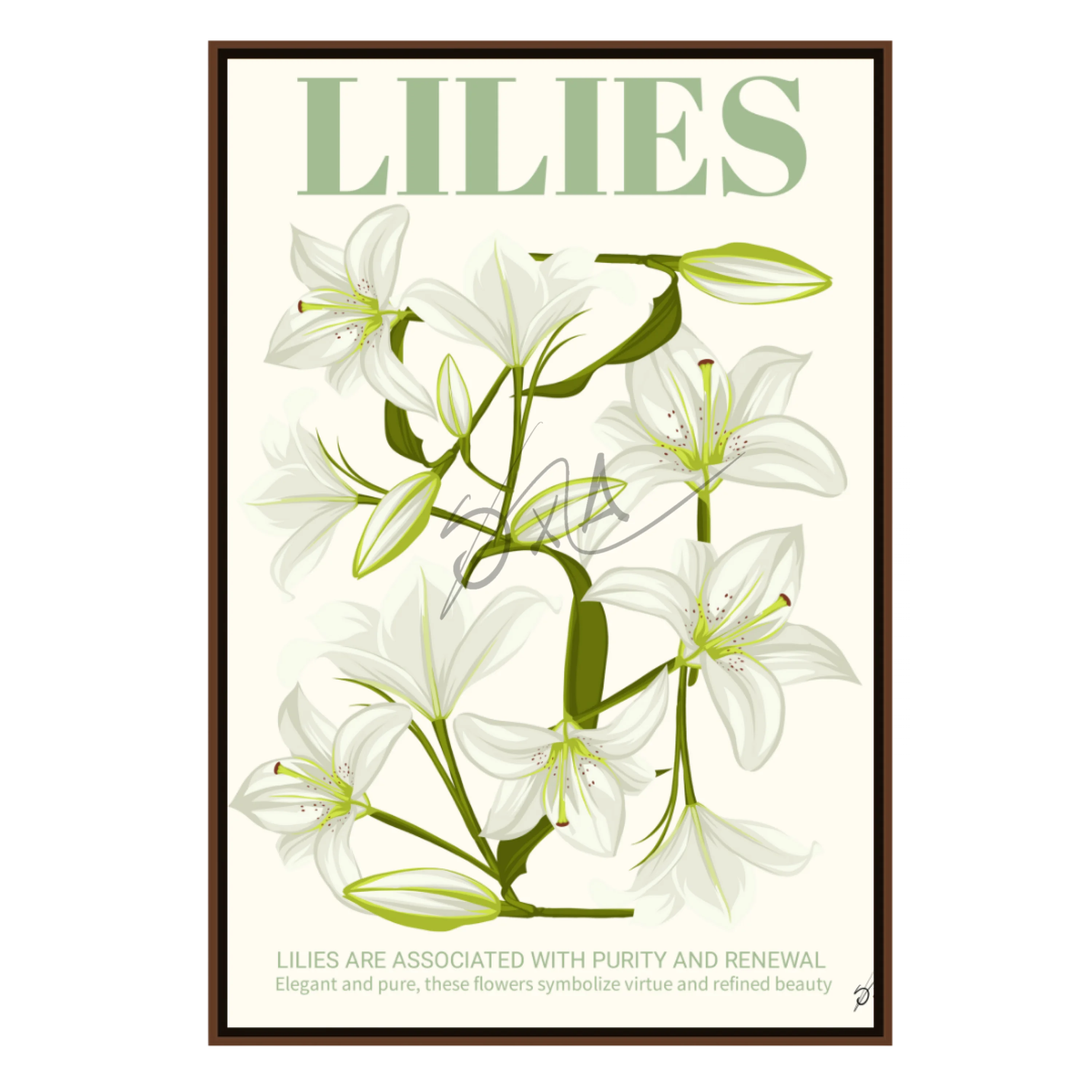 Lilies