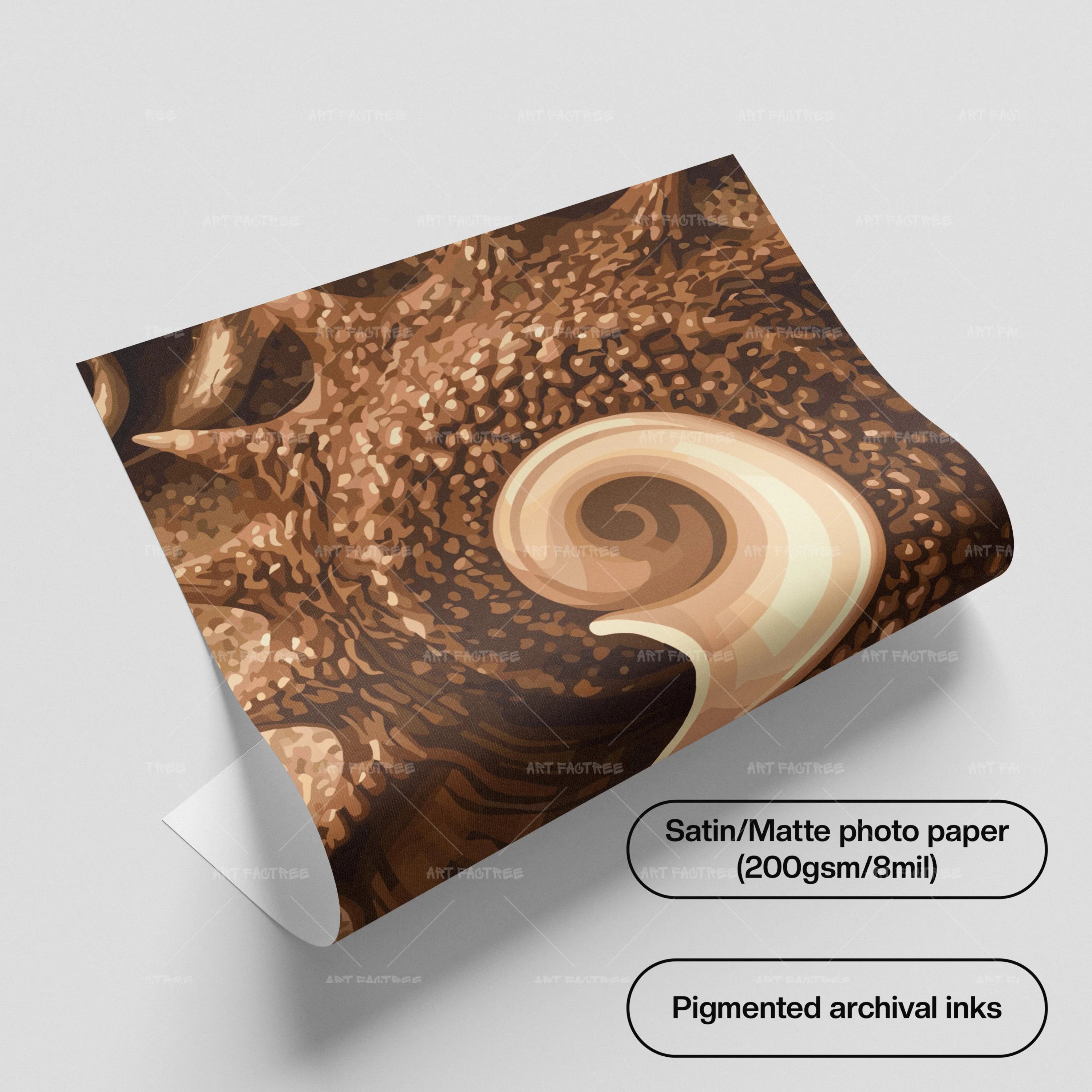 Shell Theory